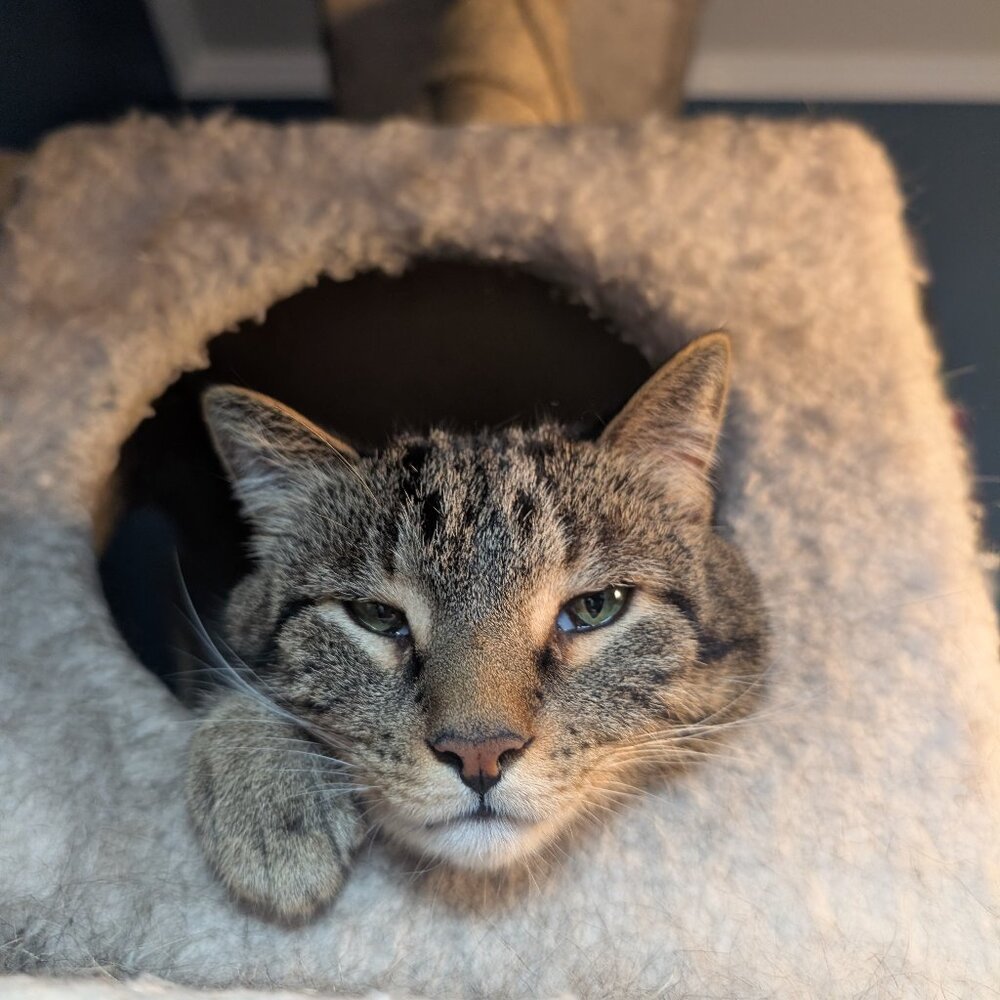 Meet your Posher, re_create!